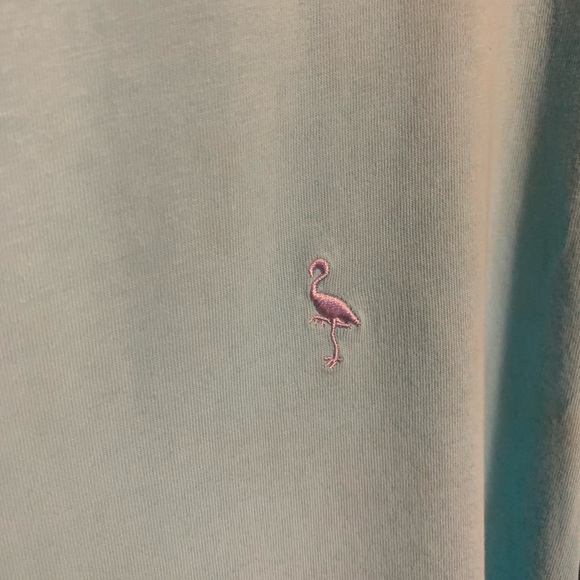 Teal Tailorbyrd T Shirt - Picture 2 of 3